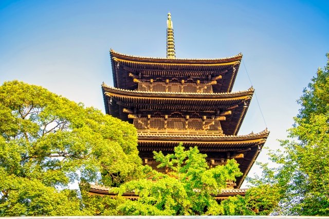 Explo_Kyoto2026's tweet photo. To-ji Temple
The five-story pagoda at To-ji stands with a presence you can feel. Evening light around the temple grounds creates a quiet, almost sacred atmosphere. Kyoto’s history lives here. #Kyoto #JapanTravel https://t.co/5VK4IZCpNN
