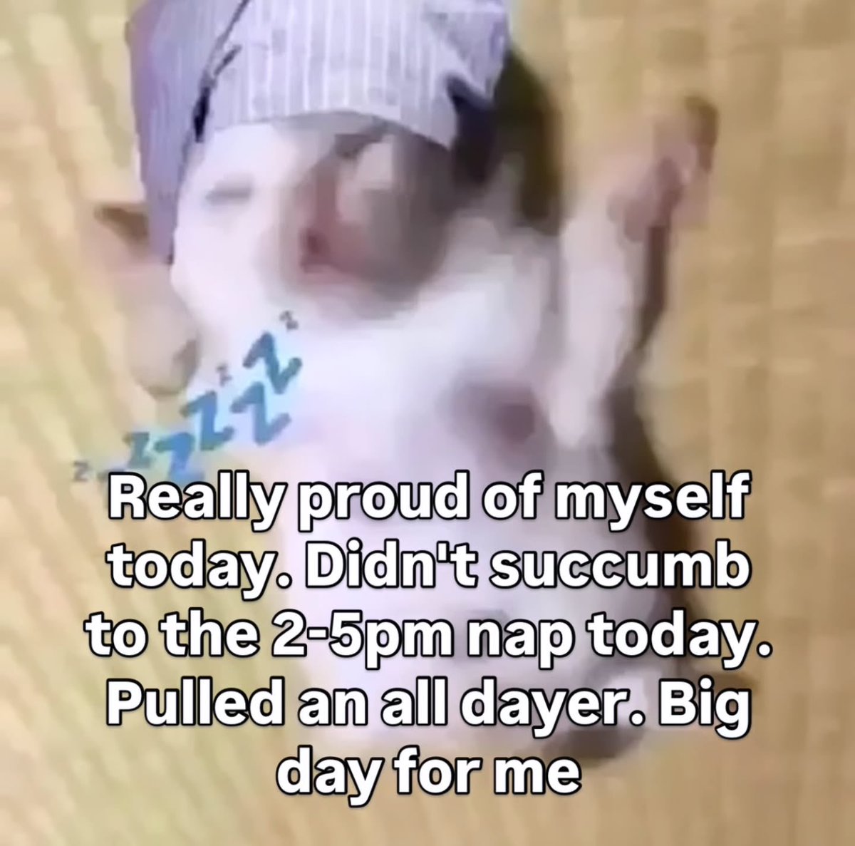 literallymecats's tweet photo. https://t.co/rJQoBRUp1Y
