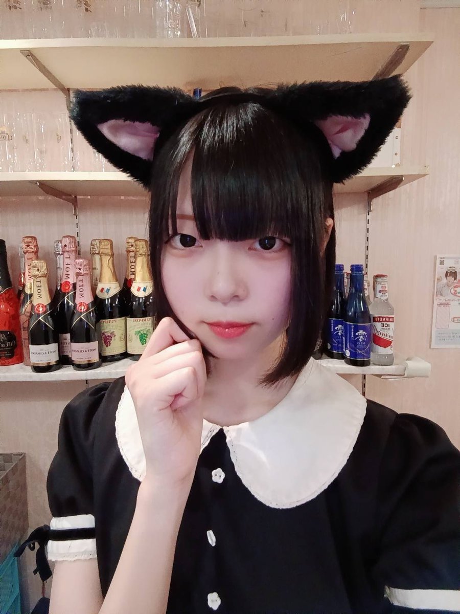 nyankomaidcafe's tweet photo. 🐾にゃんさんぶるOPEN🐾

7/3 14:00〜23:00

本日のにゃんこ🐱

ぐみ　14-23 @ribbon_gumi 
こはね　16-21 @nyanko_kohane 
研修生①   17-21
あも　17-21:30
研修生②   18:30-22
※りるちゃんお休みです

ご帰宅お待ちしてます🚪

#札幌狸小路 #メイド喫茶 #コンカフェ https://t.co/TKM3kRU4YH
