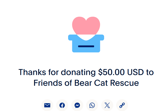 ax586's tweet photo. @feederofcats Keep doing what you do https://t.co/3ycbOfbZwo