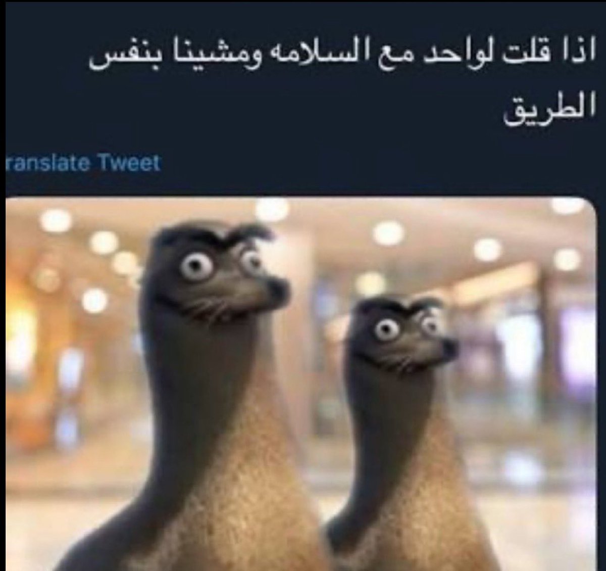 iih4u's tweet photo. منتخب الجزائر ورّط منتخب النمسا مع اسبانيا 
وهم طلعوا من سويسرا https://t.co/iAP9vidiUk