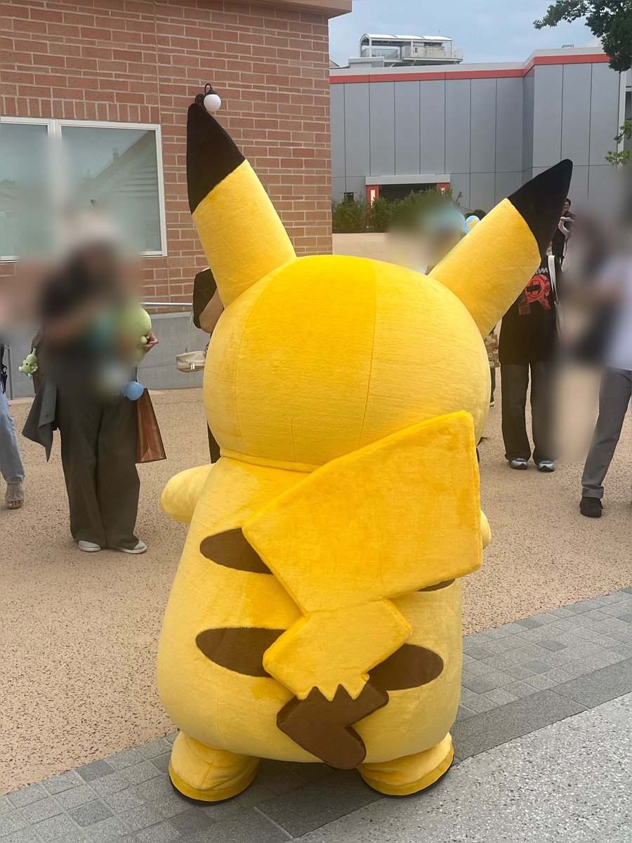taronyantorio's tweet photo. 2026年７月3日　　#ポケパークカントー　にて。　お口を閉じた　#ピカチュウ https://t.co/YRi26lyISH