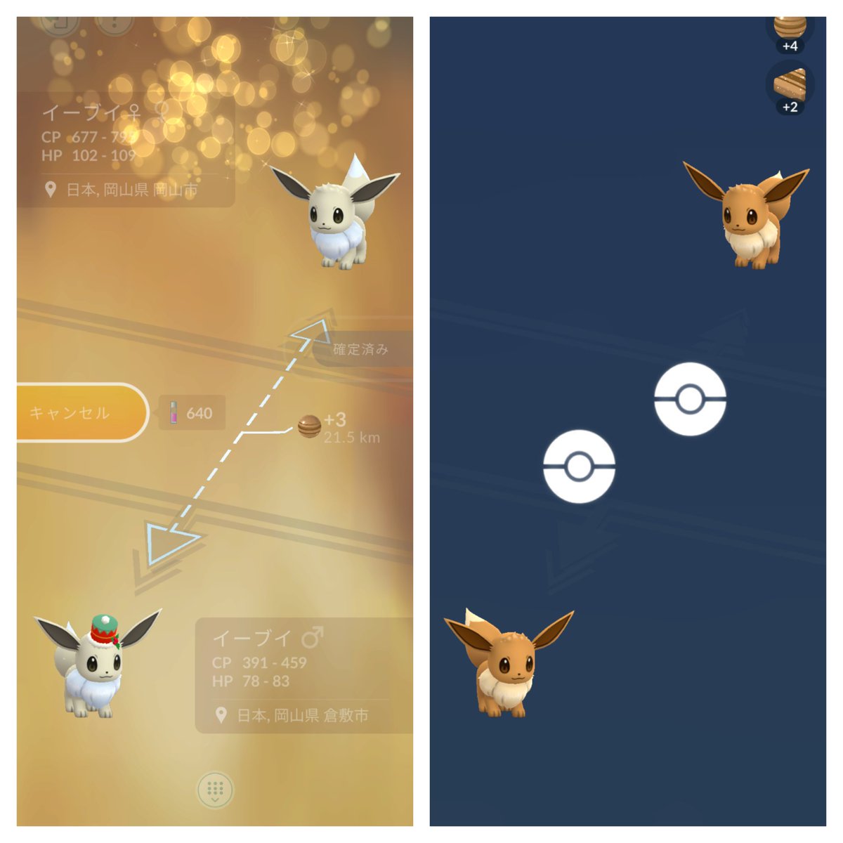 NickShowGun1's tweet photo. 2週連続キラ交換
ブイズ100交換
2週連続💯もいただきました🥳
#イーブイ
#eevee
#仲良しフライデー https://t.co/yYSb5mPCR7