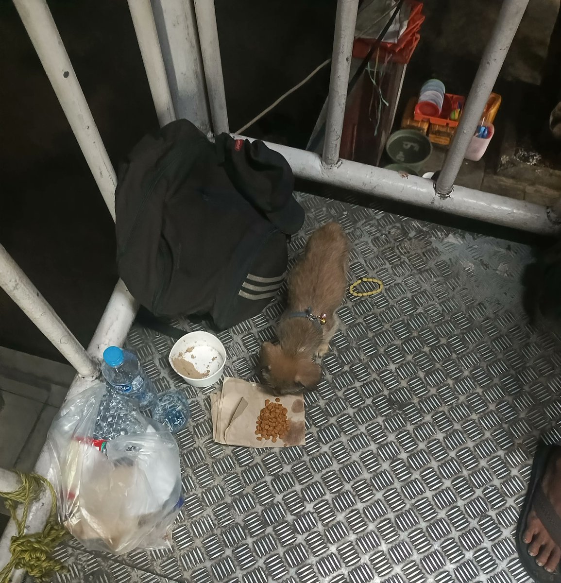 unegrakyatindo's tweet photo. Kalian kebayang gasih ngeliat ini tuh terharu banget 🥺
Btw anjing nya nurut bgt loh, oh ya namanya "chiko". Doggynya ada rasa takut karena banyak yg lalu 

lalang&mas nya tidur disitu sambil dipeluk dong🥺 Aku tanya dulu boleh dikasih makanan kucing ga?katanya gapapa ka ya walaupun awalnya dia kesusahan ngunyah tapi tetap dimakan🥺🥺

Mungkin dia mau nunjukin rasa terimakasih tbtb disamperin terus diomelin "Chiko no no, kamu kotor" Buat mas nya semangat ya semoga ada tempat tinggal yang nyaman🥺

cc : hanako2.8