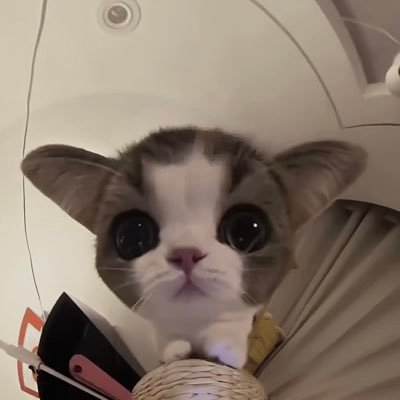 Jsnxhel's tweet photo. @cryptondo https://t.co/spOLbpiJ2B