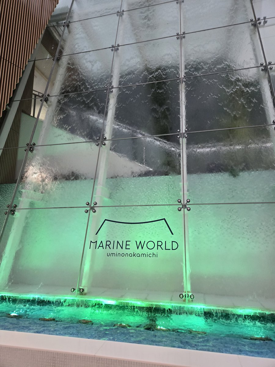 successor2736's tweet photo. やってきました https://t.co/0eDj4WlDuO