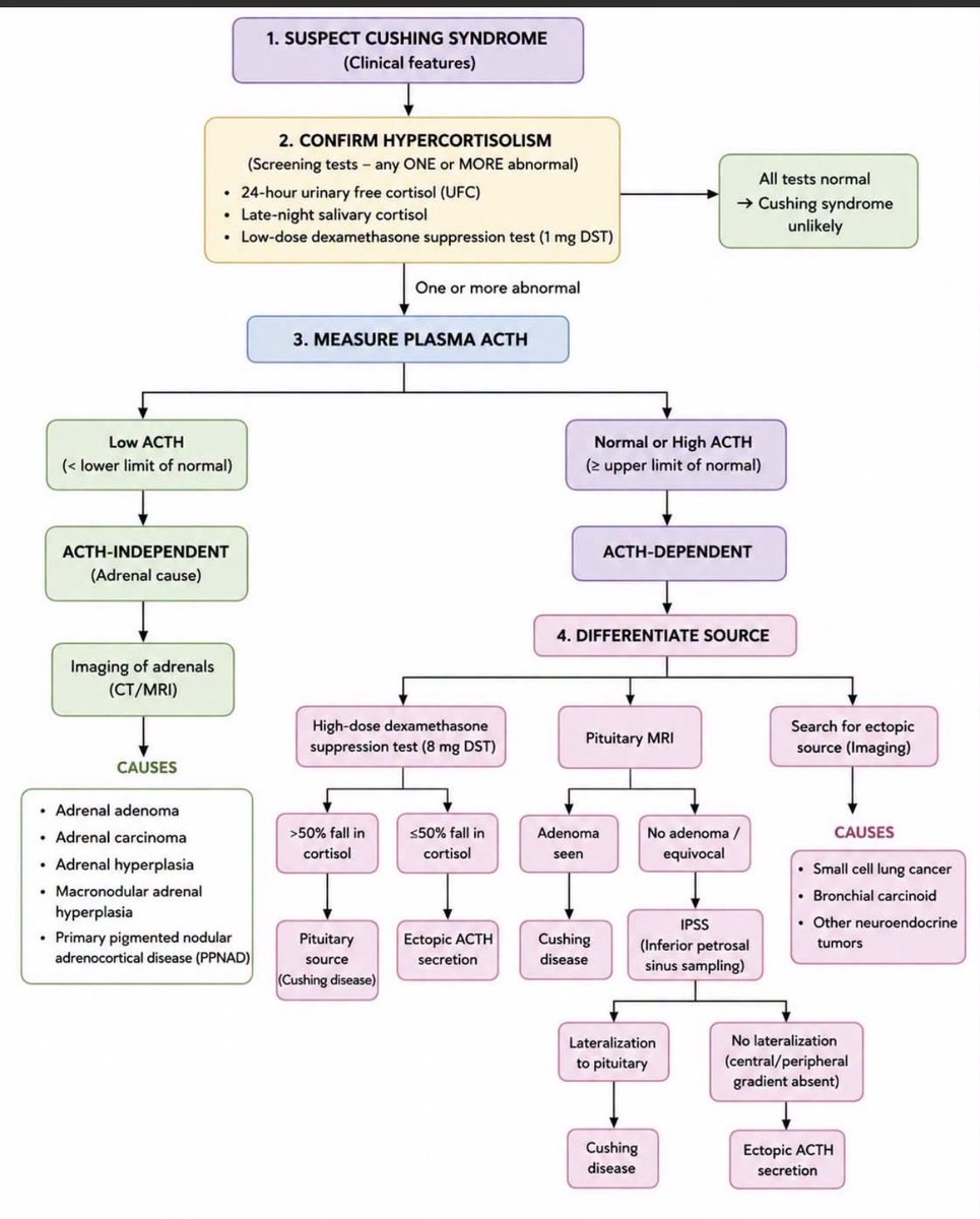 Medicalinfo111's tweet photo. Approach to suspected Cushing syndrome https://t.co/w4965zIWSU
