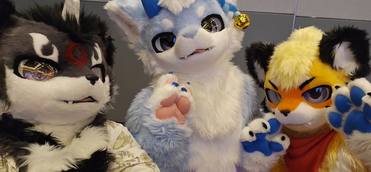 lionwaiter's tweet photo. #UTFG2026  #MofuMofuFursuit https://t.co/P0jwzeSZPq