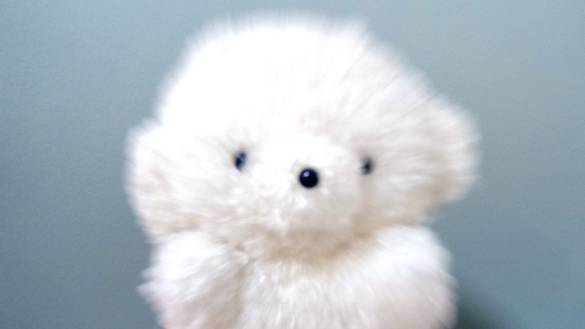 josemaru_model's tweet photo. たすけたぃ　きけんから　たすけたぃ https://t.co/5kVQNfNIbO