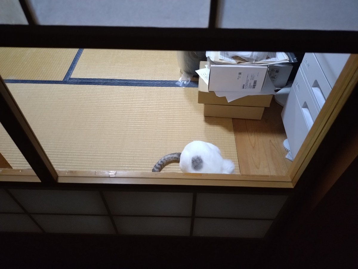 テンちゃん 本日の勤務態度 Q : 何の写真でしょうか？ A : テンちゃん