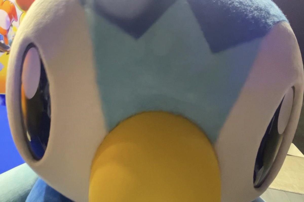 syswph0to's tweet photo. ポケスリ「ぼくがねむりにいくよ！🐧」
ポケポケ「ぼくのカードが出るよ！🐧」
ポケセン「8月に遊びに行くよ！🐧」
ポケスリイベ「ぼくのグッズが！🐧」
ガチャ「トコトコポッチャマ出るよ！🐧」
ポケパーク「ぼくのグッズが出たよ！」🆕

(？？？？？？？！) https://t.co/9VtdbYP9dh