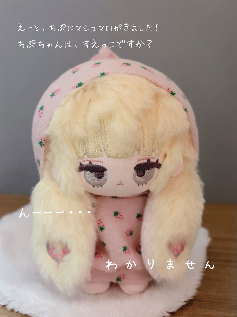 nui_sunsun's tweet photo. 届きました♪ https://t.co/D9INHDvgf1