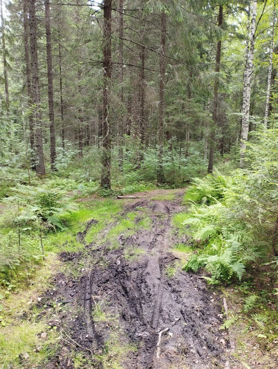 ikoneja's tweet photo. Tämän takia en pidä maastopyöräilystä. https://t.co/gjnCZHaraY