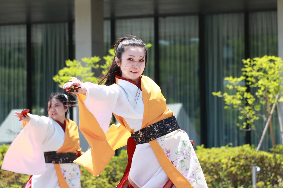 m1lnq7's tweet photo. 2026.06.28(日)
✿第29回ヤートセ秋田祭
❀『蒼華天夢』さん

#ヤートセ秋田祭
#第29回ヤートセ秋田祭
#蒼華天夢 https://t.co/usZP5W6eyv