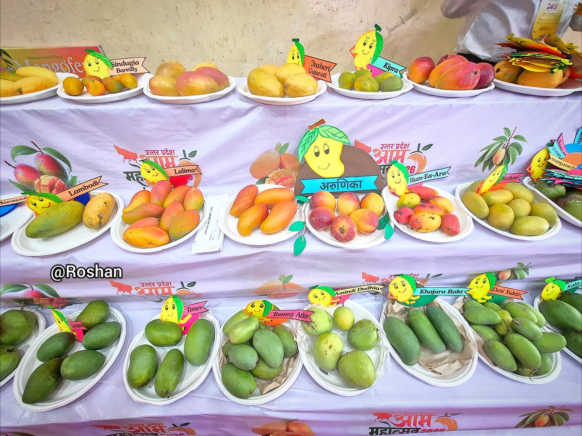 cameraman_r's tweet photo. #LucknowMangoFestival #MangoFestival2026 #CMYogiAdityanath #UPAgriculture
#MangoVarieties #IndiraGandhiPratishthan https://t.co/6VnxXrMgim