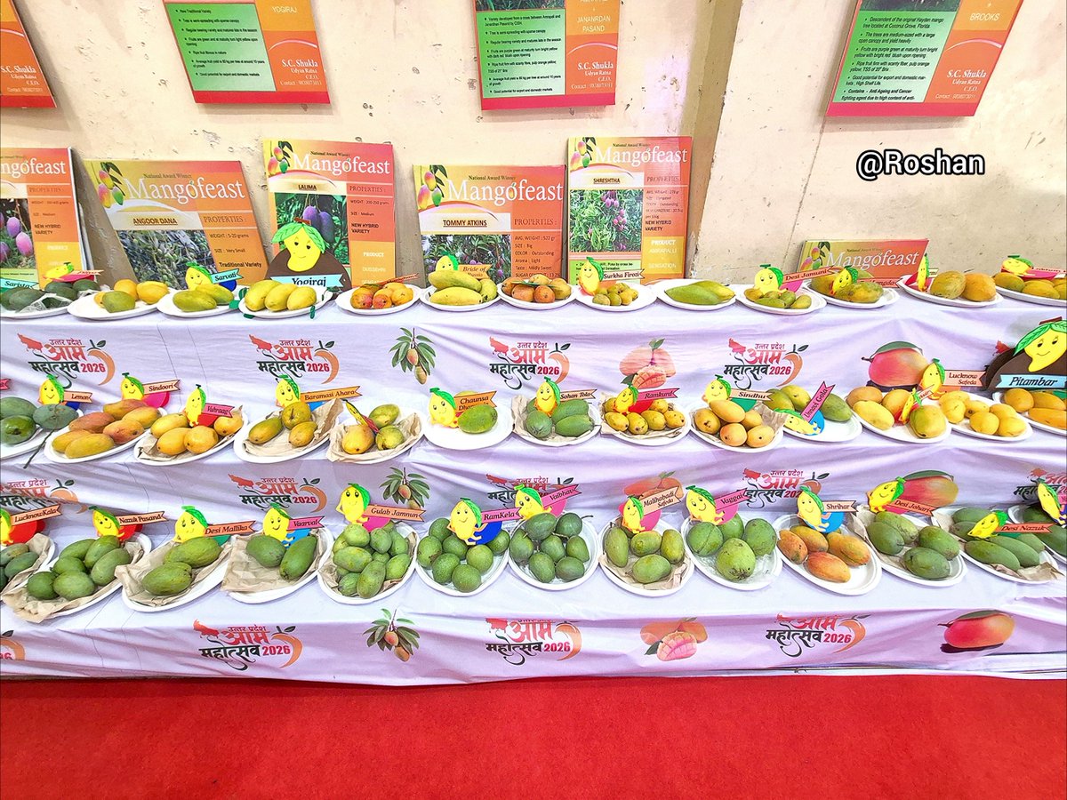 cameraman_r's tweet photo. #LucknowMangoFestival #MangoFestival2026 #CMYogiAdityanath #UPAgriculture
#MangoVarieties #IndiraGandhiPratishthan https://t.co/6VnxXrMgim