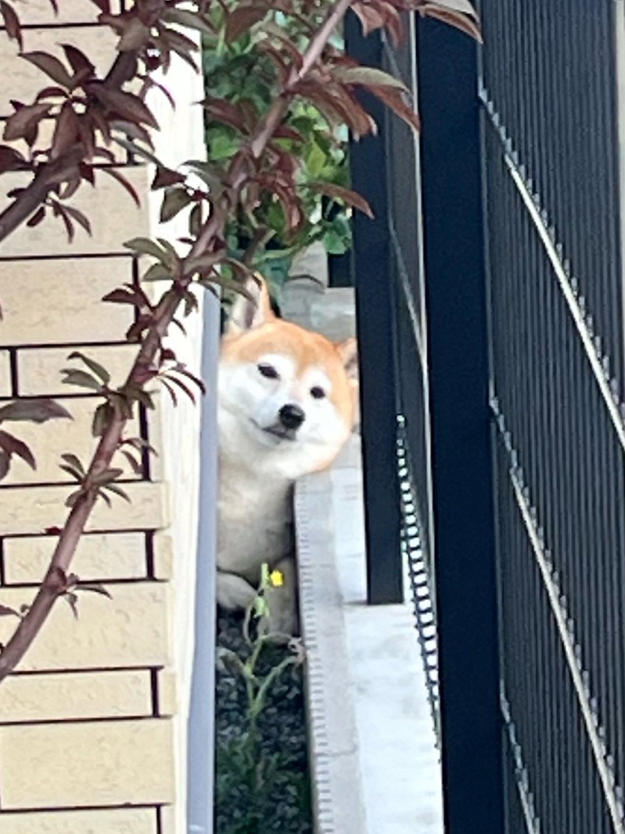 逆サイド ばかかわいい！
