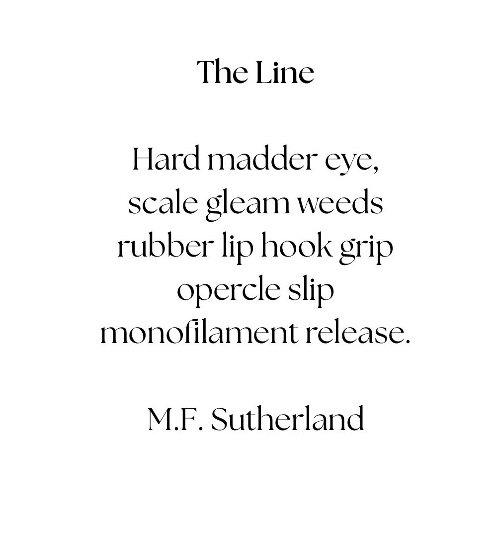M.F. Sutherland tweet media
