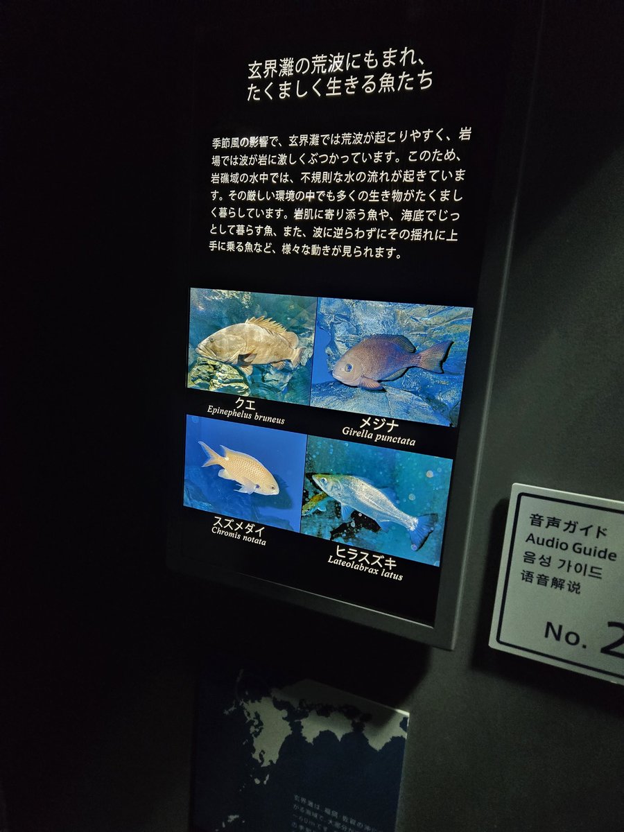 successor2736's tweet photo. 暗いところいい https://t.co/KLlJdvpXbp