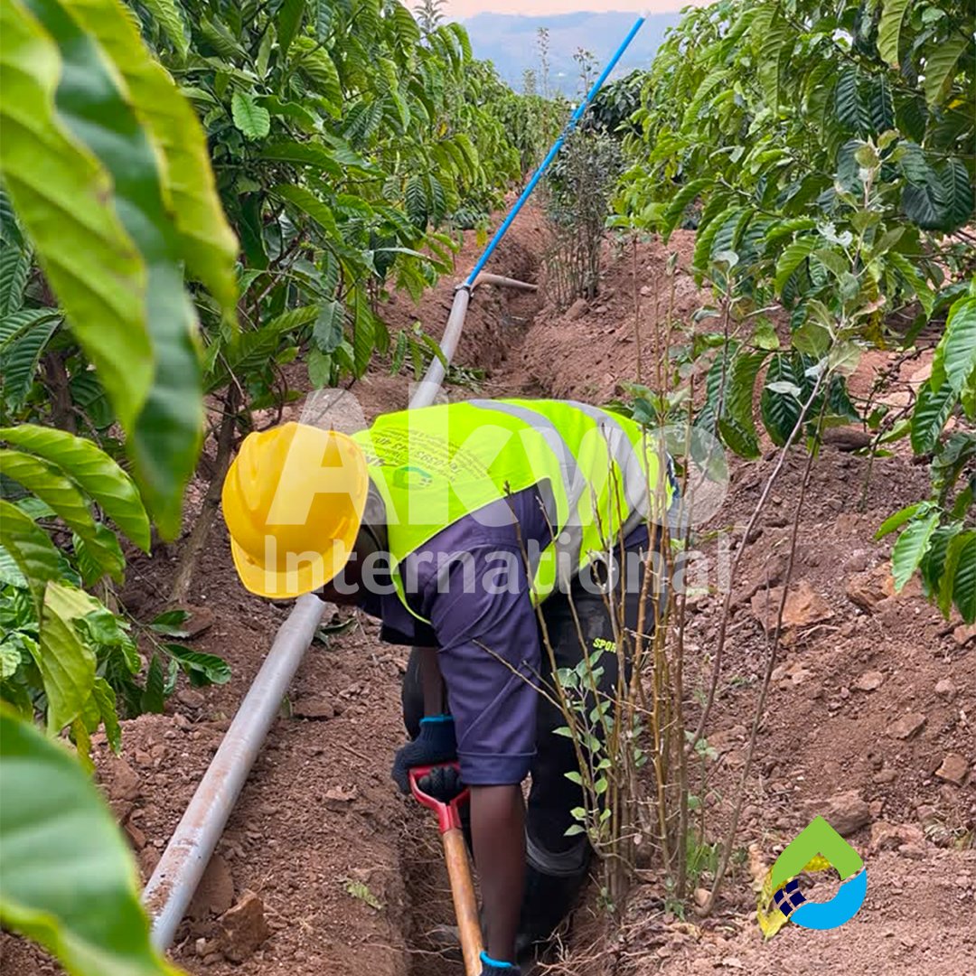 Akvointltd's tweet photo. #ProjectUpdate: 40-acre sprinkler irrigation system for a coffee underway in Ntungamo. 

Pipe laying are in progress as the @Akvointltd team  works to deliver effective system that will boost productivity. 

Need irrigation for your farm? Get in touch.
📩 https://t.co/kJU7DMbsVu https://t.co/y9PdaaoZKM