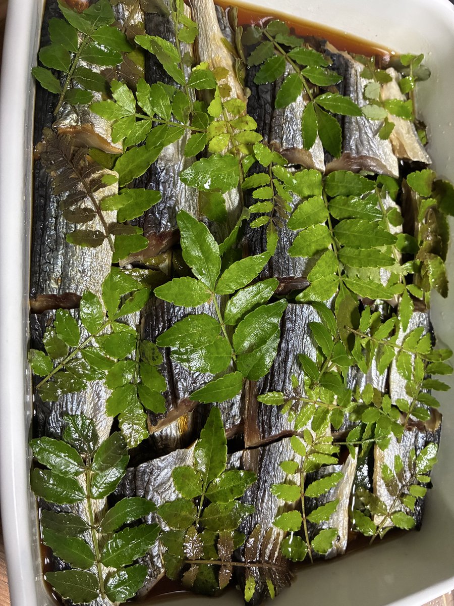 eikochiko25's tweet photo. ニシンの山椒漬け🌱
美味しく出来ました♪ https://t.co/73cHwhAmlW