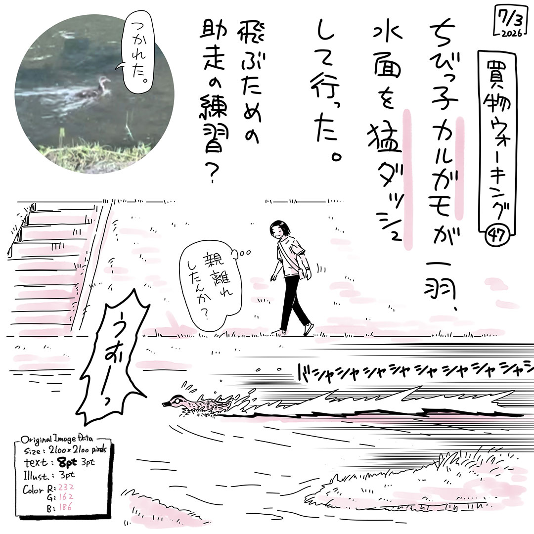 ユアサミズキ -Yuasa Mizki- tweet media
