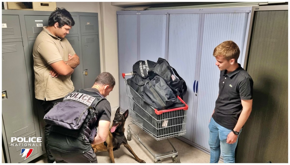 PoliceNat2B's tweet photo. 👩‍🎓Des stagiaires au commissariat de #Bastia 🚓
Au  cours du mois de juin, la @PoliceNat2B  a accueilli plusieurs stagiaires, issus de classes de seconde, de  terminale et de BTS.
Ils ont pu découvrir les divers métiers que propose la #police et échanger avec nos #policiers  👍 https://t.co/f28lGOd0g6
