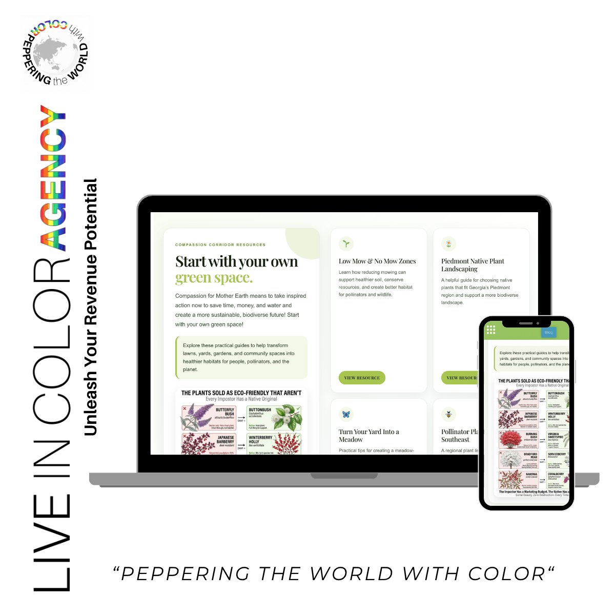 LiveInColorAgcy's tweet photo. Explore the recent updates to the Compassionate Corridor webpage, designed to enhance user experience and engagement for the Atlanta community. Check them out on our website. #LinkInBio https://t.co/QeUbGr3fQC