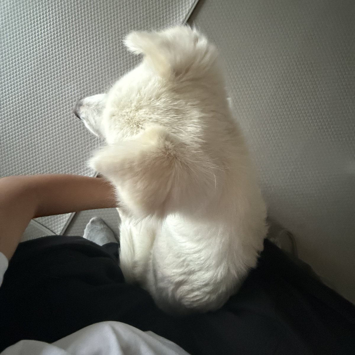 cotton_bong2's tweet photo. 퇴근하면 집까지 개뛰어가야댐
이유: https://t.co/VP9itzZzld