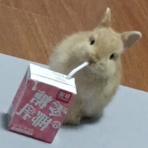 ꪔ̤̫ tweet media