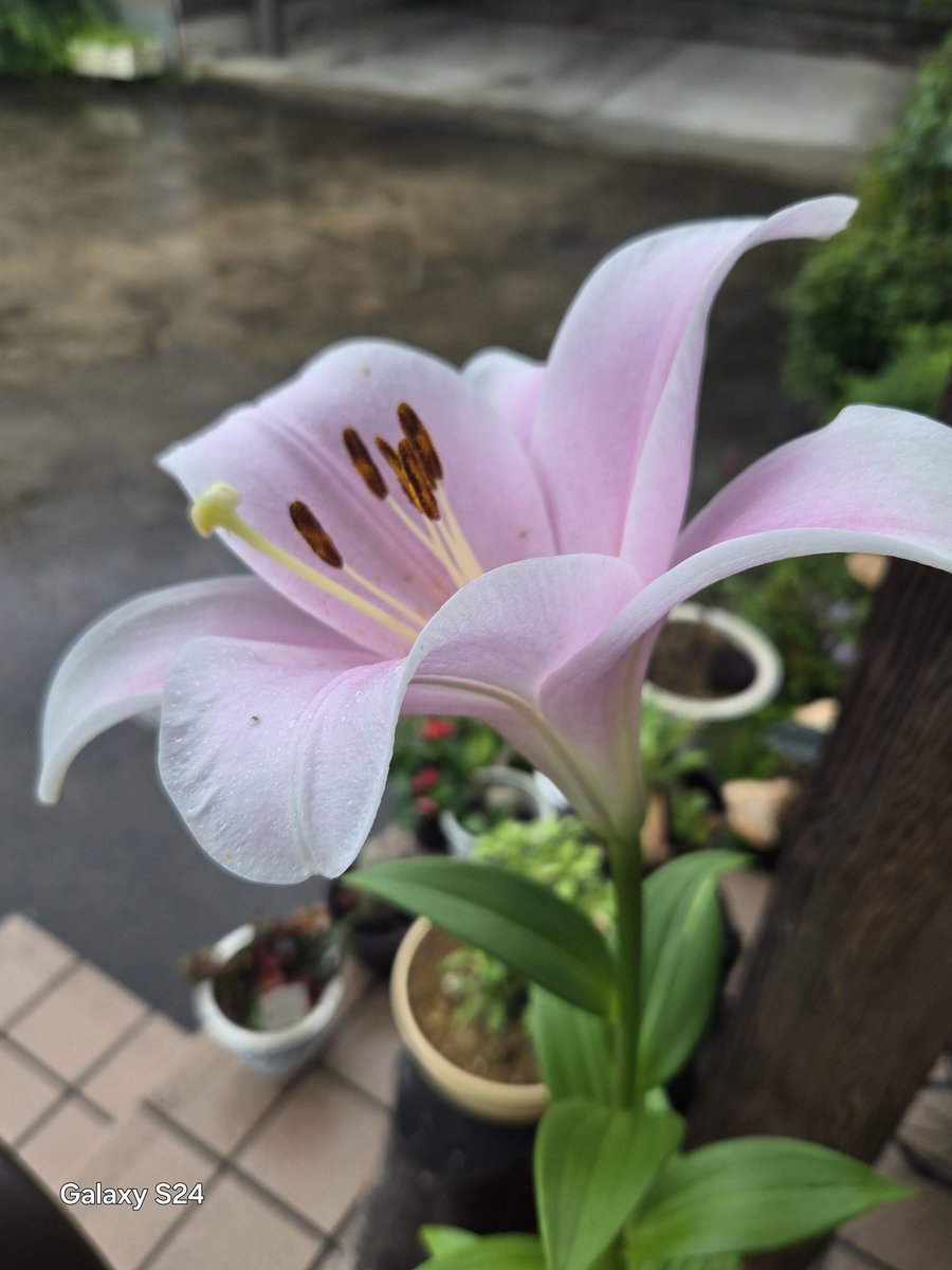 神宇心生 tweet media