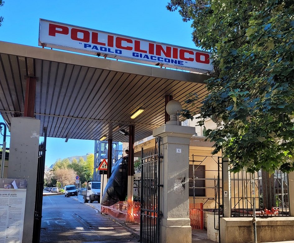 FilcamsSicilia's tweet photo. #Appalto servizi #vigilanza Policlinico Palermo: il 7 luglio sit-in di protesta. #FilcamsCgil:"Basta silenzi. Servono risposte. Negli appalti pubblici la committente deve garantire rispetto delle norme, dei contratti collettivi e della dignità del lavoro" 
https://t.co/EHapB5pRSa https://t.co/05XedVO8FU