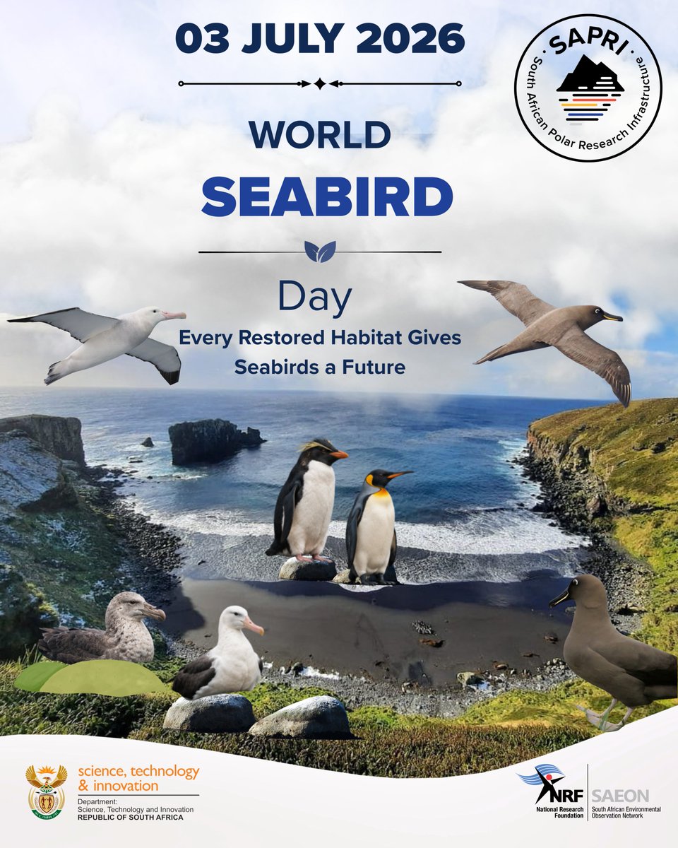 sapri_dsti's tweet photo. Happy world seabird day! Today we celebrate the incredible seabirds that soar across our oceans and remind us why healthy marine ecosystems matter.
@BirdLife_SA @SANCCOB @Antarcticlegacy #worldseabirdday #seabirds #southernocean #marionisland #albatross #penguines #sapri #sanap https://t.co/h2ogjpQ4lQ