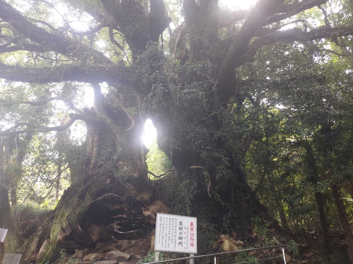 river_20_12's tweet photo. 大三島   ⛩🌳 🐟🍚
良き一日でした   感謝 https://t.co/vAwy414TY5