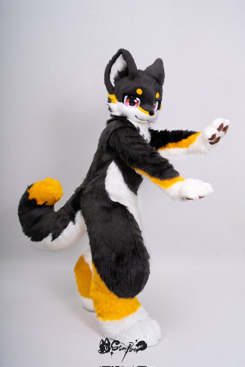 fur_starfire's tweet photo. StarFire角色展示✦琥珀

🐾SID.000036
🐾种族:柴犬

--------------------
StarFire工坊
#furry #fursuit #starfire #furstarfire https://t.co/ftf8H4NBIU