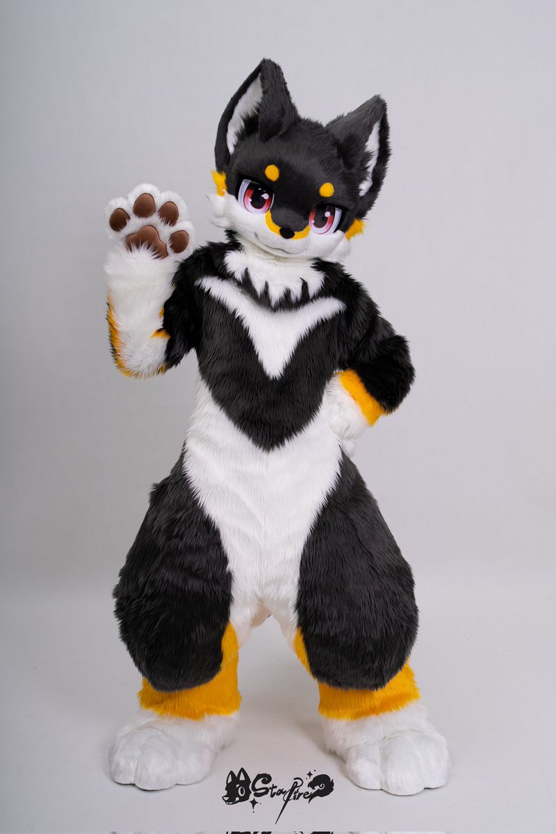 fur_starfire's tweet photo. StarFire角色展示✦琥珀

🐾SID.000036
🐾种族:柴犬

--------------------
StarFire工坊
#furry #fursuit #starfire #furstarfire https://t.co/ftf8H4NBIU