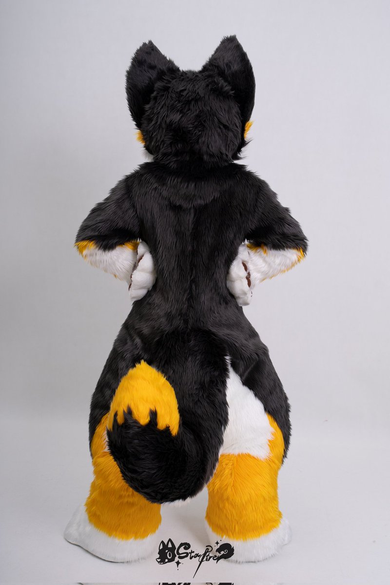fur_starfire's tweet photo. StarFire角色展示✦琥珀

🐾SID.000036
🐾种族:柴犬

--------------------
StarFire工坊
#furry #fursuit #starfire #furstarfire https://t.co/ftf8H4NBIU