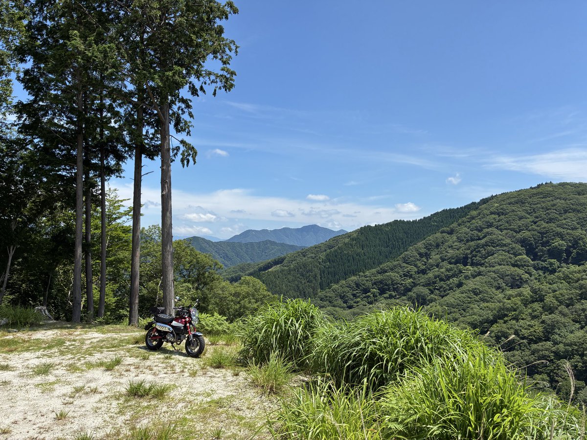 kinkansan's tweet photo. モンキー125で岐阜県揖斐川町にある「イビーナス展望所」に行ってきました。展望所前後の道はなかなかいい景色でした。
#モンキー125
#イビーナス展望所 https://t.co/6IHGHlIJ2I