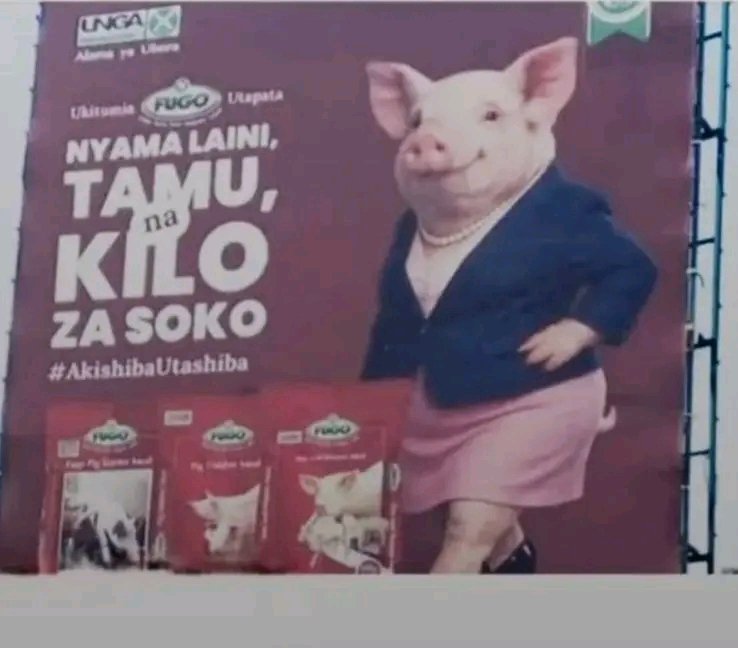 omwambaKE's tweet photo. Unga Group Faces Backlash Over Billboard Portraying a Pig as a Businesswoman https://t.co/kgpZ7FInbF