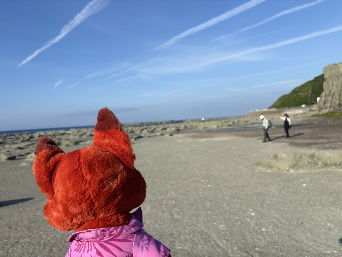 ZTP_NCK_natsu's tweet photo. 一言で青森と言っても、色んな場所で、色んな顔があって。ニック達も、とても楽しんでいました！！🦊 https://t.co/DKa8Z9uYxp