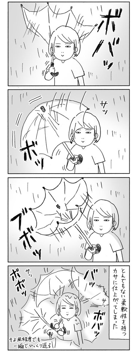 耐風性が高いのか低いのかわからない 