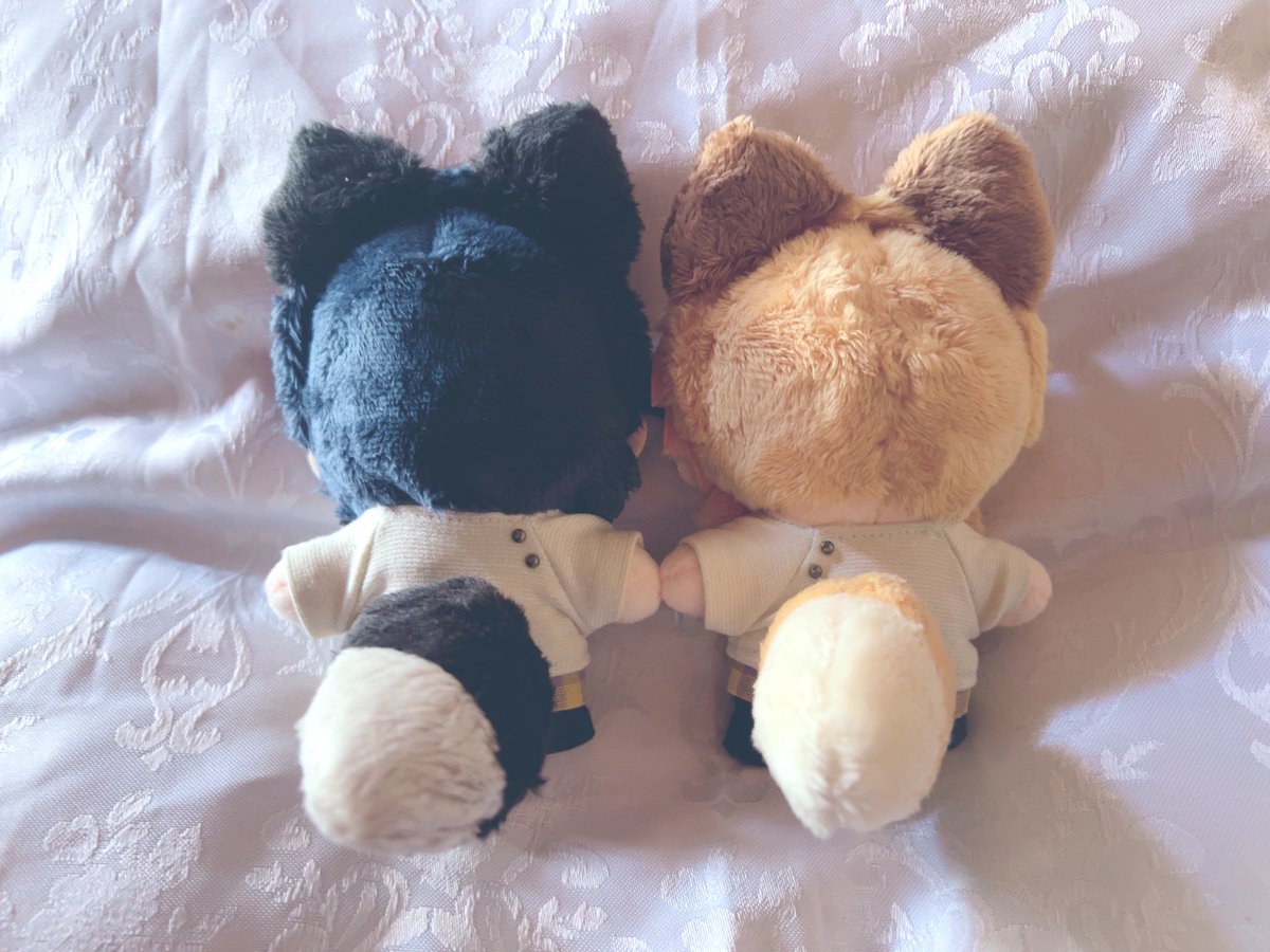 tomokasa0000's tweet photo. 🦊のお耳としっぽはこちらのかわゆすぎるきつねみみしっぽセットをお迎えさせていただきました😭✨✨✨
かわゆすぎてかわゆすぎて溶けそう🫠

4枚目は夏の夜空を彩る真夏の大菱形💠 https://t.co/YK9s998OoK