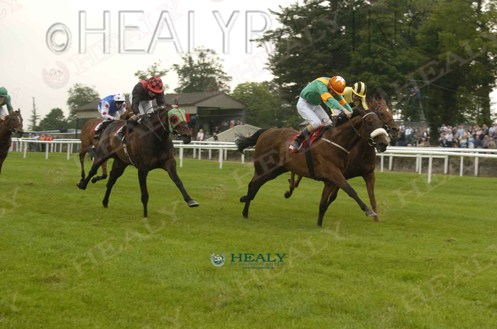 patcashhealy's tweet photo. Gowran Park 4-July-2006    @GowranPark1
#20yearsago   #archives   #fromthearchive   #memories   #HorseRacing   #HealyRacing   #ReelingInTheYears
Caheerloch and Pat Smullen win for owner Ballylinch Stud and trainer Dermot Weld.
(c)https://t.co/voWGTccgic https://t.co/NZWckyXDqN