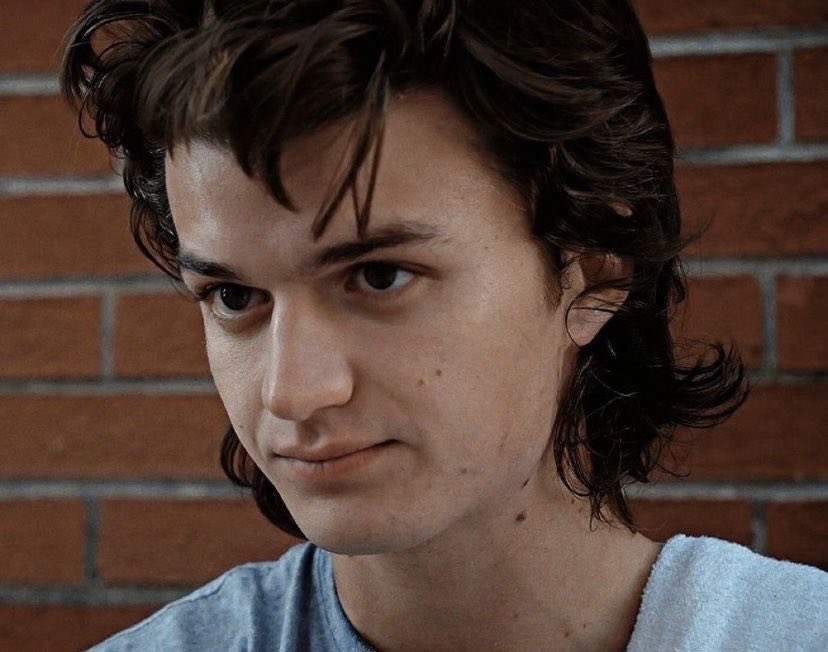 DJOLLANOV's tweet photo. i think about steve harrington and his big puppy dog eyes every single day https://t.co/vrYAY41HsV