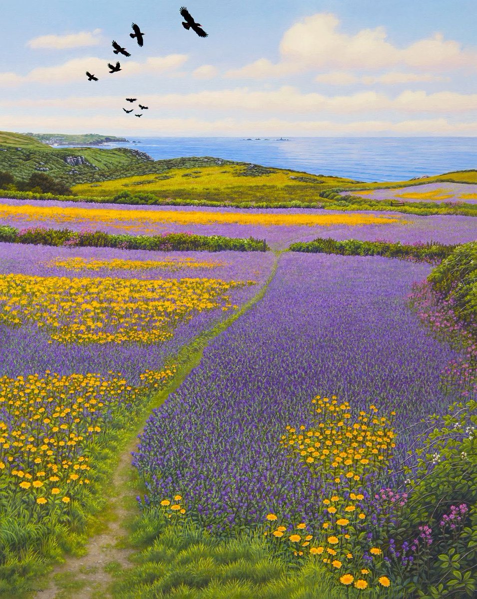 fraveris's tweet photo. Sarah Vivian

Above Nanquidno; Choughs, Corn Marigolds and Purple Viper’s Bugloss, West Penwith https://t.co/1F9WQjJEH0