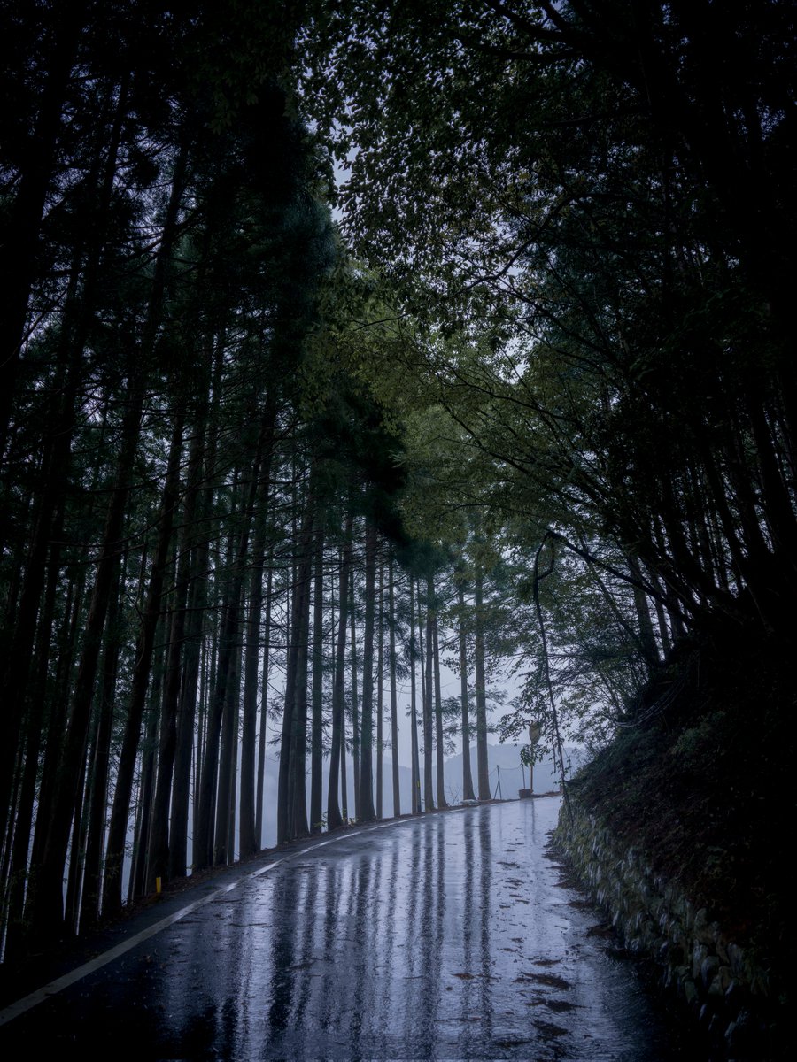 yutaCRC_HB's tweet photo. 酷道は山奥に / 和歌山県 国道425号

X2D II 100C + XCD 4 /28P
#Hasselblad
#旅するHasselblad https://t.co/9hNIjabWnC