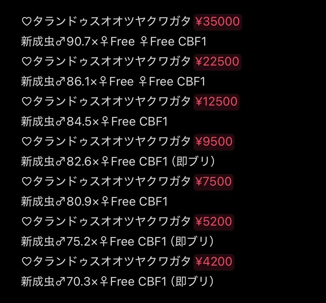 Kobe_KUWAI's tweet photo. #INSECTDISCOVERY
#インセクトディスカバリー
#アジア太平洋トレードセンターATC
2026年7月19日(日)11時〜16時
皆様方のご来店をお待ちしています(╹◡╹)
#グランディスコフキカブト
#ヨツボシマッシヴツノヒナカブト
#マルガリータヒナカブト
#フォルスターニシ https://t.co/qbVHmpRyGn