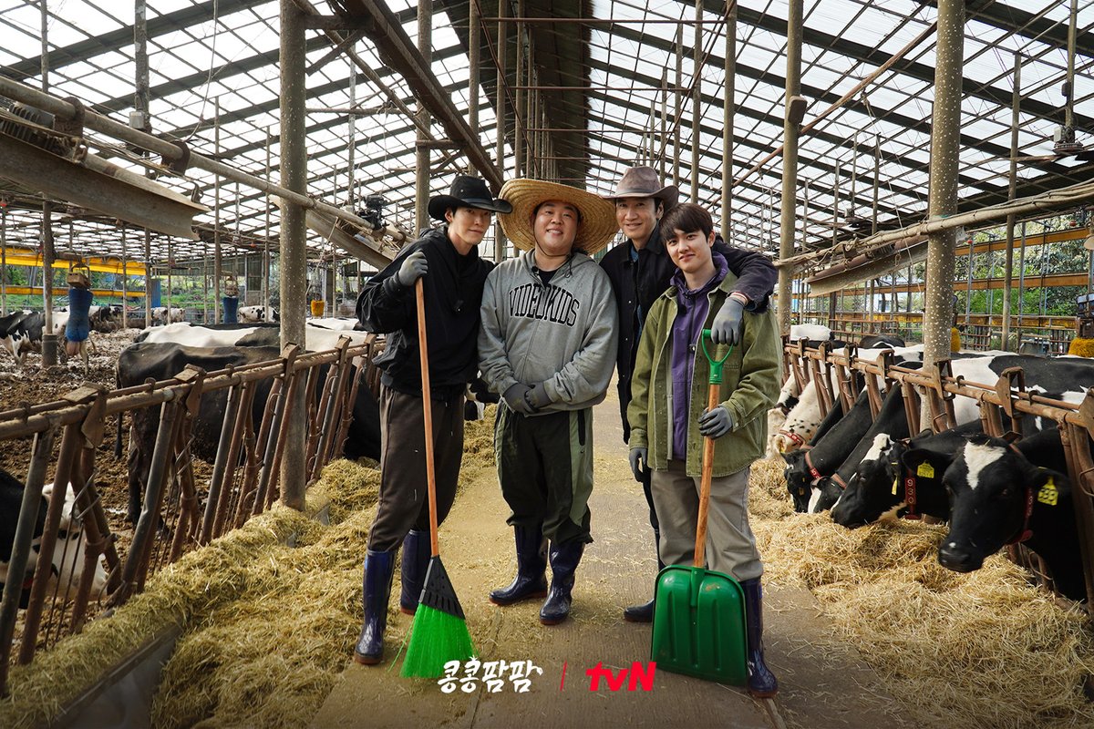 chtvn's tweet photo. [3화 비하인드]
처음부터 함께였던 것처럼
자연스럽게 스며든 인턴과 함께한
연수 3일 차입니다🐮

<콩콩팜팜>
[금] 저녁 8:35 tvN

#tvN #콩콩팜팜 #콩심은데콩나는가고팜하고팜동물농장
#이광수 #김우빈 #도경수
#즐거움엔20tvN #스트리밍은TVING https://t.co/MW5kDwCntl