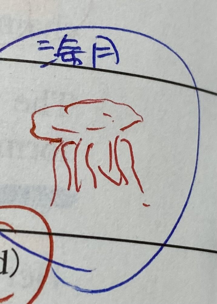 bear2kk's tweet photo. 【英検1級単熟語EXにいる海月】

ある英単語をイメージで覚えるために描いた海月(クラゲ)です

海月からどんな単語をイメージしましたか？

①drift
②cnidaria
③translucent 
④jellyfish https://t.co/JXAQGPvuAV