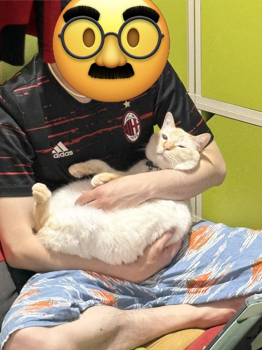 azuhom's tweet photo. だんなさんが大好きすぎるねこ（盗撮） https://t.co/x1pxxLmcus